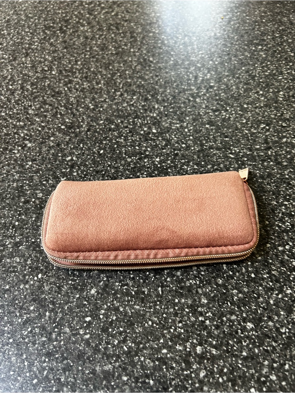 Mauve Zippered Vitamin Case | 14 spaces